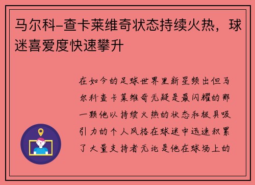 马尔科-查卡莱维奇状态持续火热，球迷喜爱度快速攀升