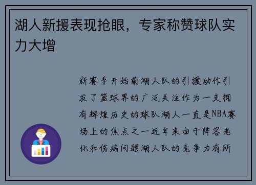 湖人新援表现抢眼，专家称赞球队实力大增