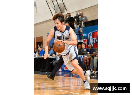 LD乐动体育官网网易NBA：全方位解析球赛精彩，深度探讨明星表现及战术策略 - 副本