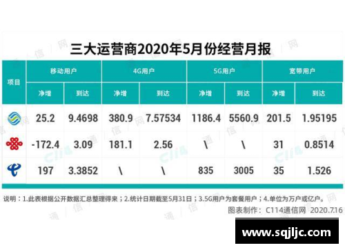 LD乐动体育官网职业球员身价：市场波动与影响因素探析 - 副本