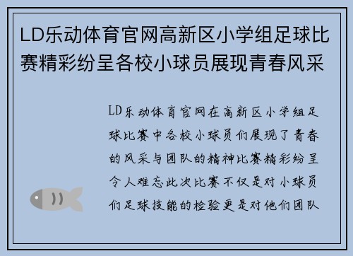 LD乐动体育官网高新区小学组足球比赛精彩纷呈各校小球员展现青春风采与团队精神